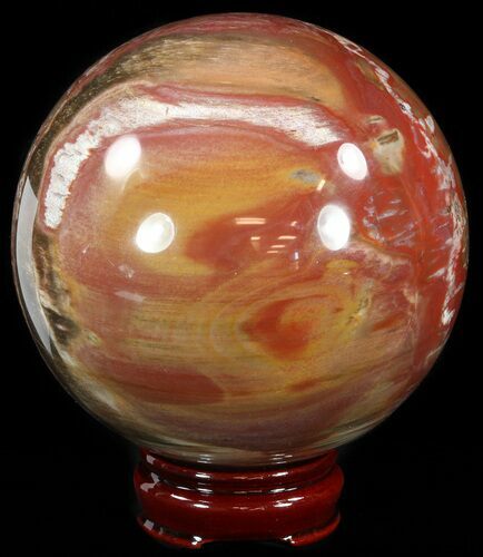 Colorful Petrified Wood Sphere #49751